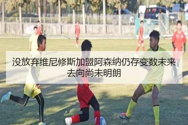 没放弃维尼修斯加盟阿森纳仍存变数未来去向尚未明朗